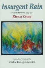 Insurgent Rain cover